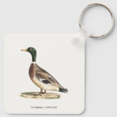 De wilde eend (Anas platyrhynchos) Sleutelhanger (Achterkant)