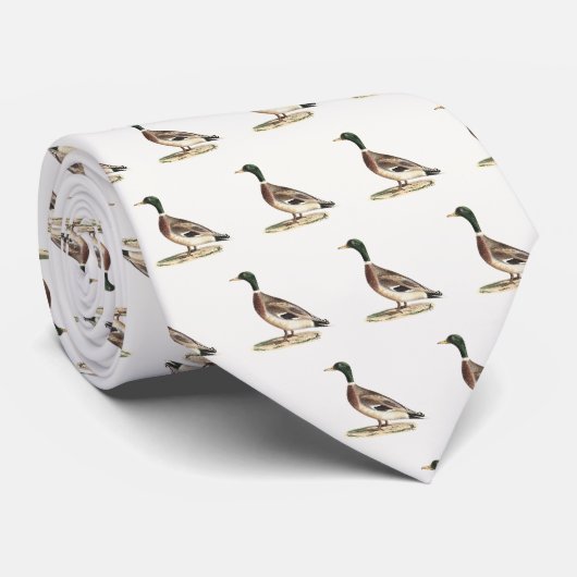 De wilde eend (Anas platyrhynchos) Stropdas (Opgerold)