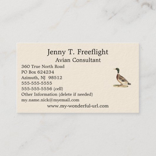 De wilde eend (Anas platyrhynchos) Visitekaartje (Achterkant)