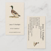 De wilde eend (Anas platyrhynchos) Visitekaartje (Voorkant / Achterkant)