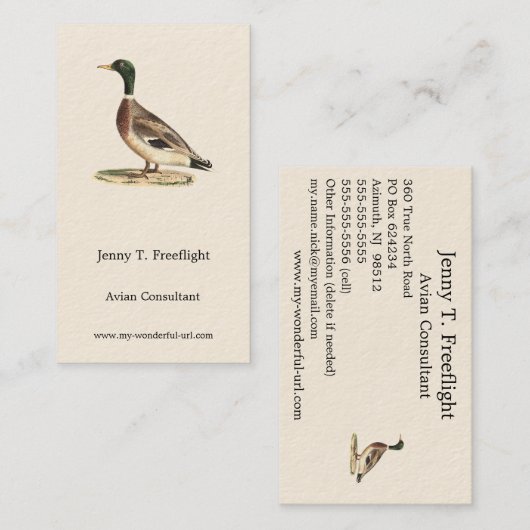 De wilde eend (Anas platyrhynchos) Visitekaartje (Voorkant / Achterkant)