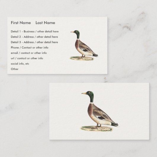 De wilde eend (Anas platyrhynchos) Visitekaartje (Voorkant / Achterkant)