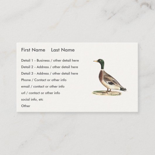 De wilde eend (Anas platyrhynchos) Visitekaartje (Voorkant)