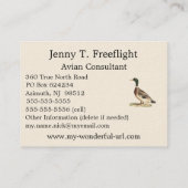 De wilde eend (Anas platyrhynchos) Visitekaartje (Achterkant)