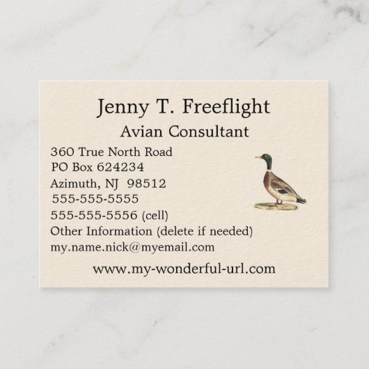 De wilde eend (Anas platyrhynchos) Visitekaartje (Achterkant)