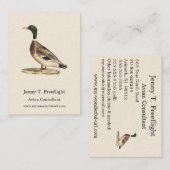 De wilde eend (Anas platyrhynchos) Visitekaartje (Voorkant / Achterkant)