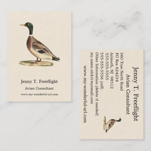 De wilde eend (Anas platyrhynchos) Visitekaartje (Voorkant / Achterkant)