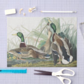 De wilde eend Audubon vogelschilderij Tissuepapier (Craft)