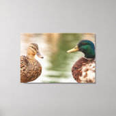De wilde eenden canvas afdruk (Voorkant)