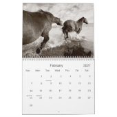 De wilde eenden kalender (Feb 2027)