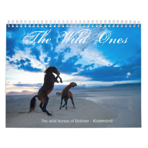 De wilde eenden kalender