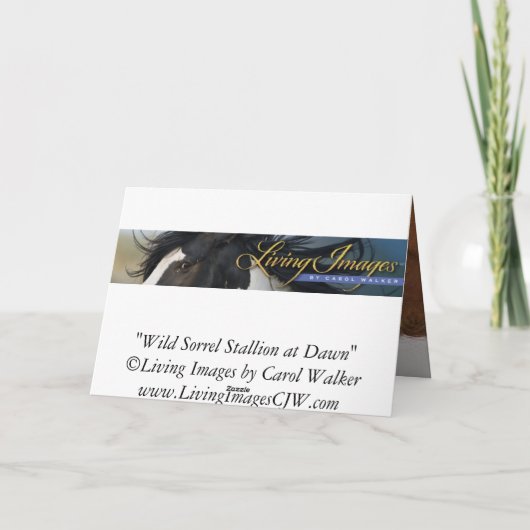 De wilde Hengst van de Zuring bij de Kaart van het (Achterkant)