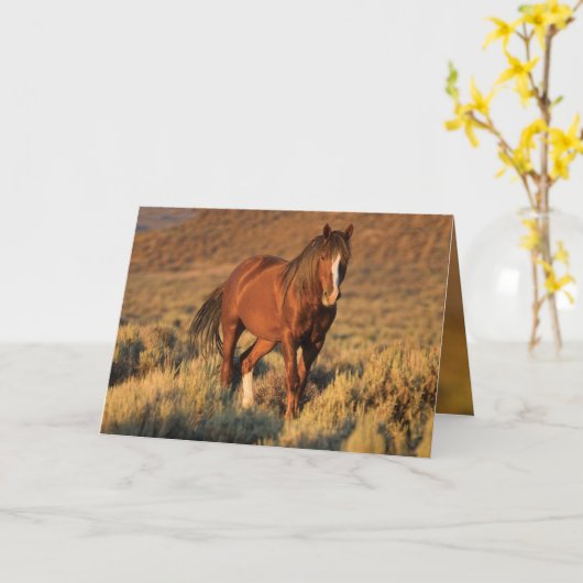 De wilde Hengst van de Zuring bij de Kaart van het (Gele Bloem)