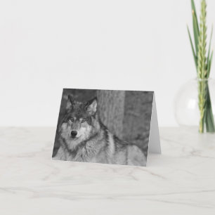 De wilde Kaart van de Nota van de Wolf