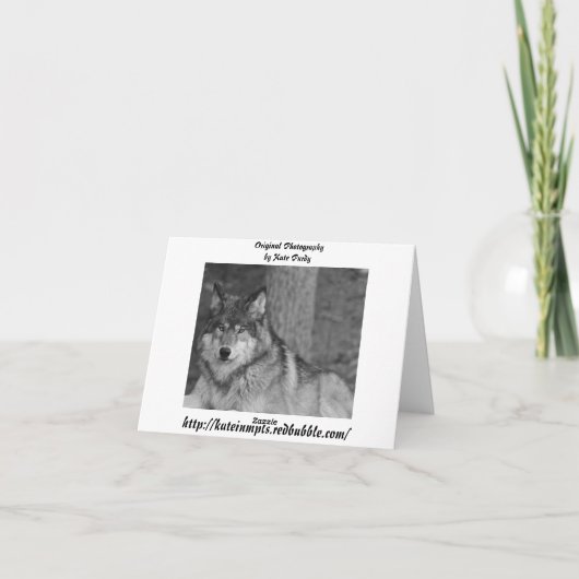 De wilde Kaart van de Nota van de Wolf (Achterkant)