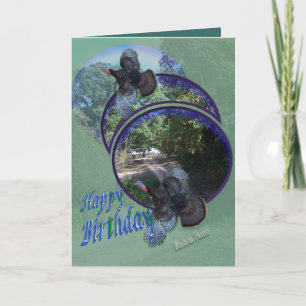 De wilde Kalkoenen vlucht-personaliseren binnen Kaart