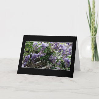 De "wilde Lente " Kaart