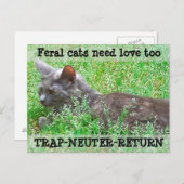 De wilde Liefde van de Behoefte van Katten - TNR Briefkaart (Voorkant / Achterkant)