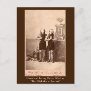 De wilde Mannen van Borneo op kaarten, Briefkaarte Briefkaart