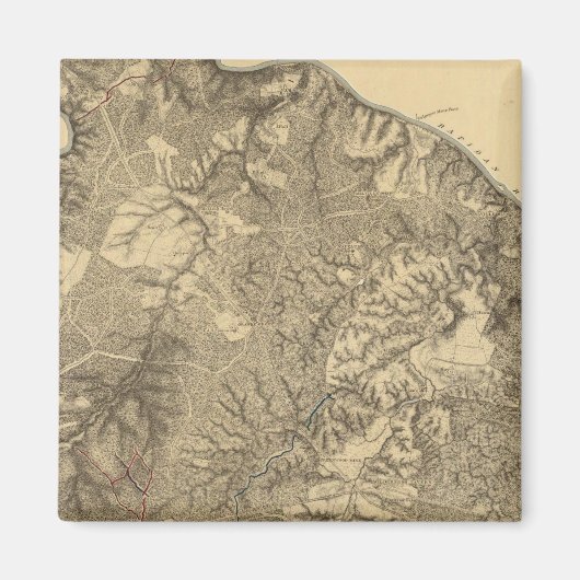 De wilde natuur, Virginia Magneet (Voorkant)