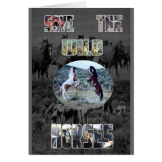 De wilde paarden redden