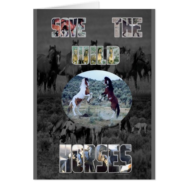 De wilde paarden redden (Voorkant)