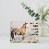 De wilde paarden van het Briefkaart van Wyoming (Staand voorkant)