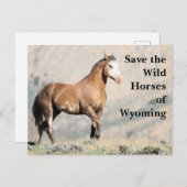 De wilde paarden van het Briefkaart van Wyoming (Voorkant / Achterkant)