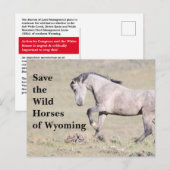 De wilde paarden van het Briefkaart van Wyoming (Voorkant / Achterkant)
