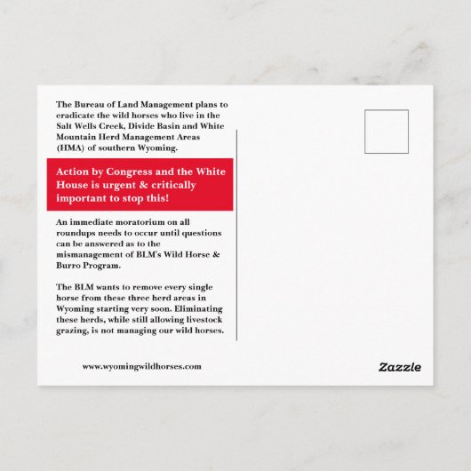 De wilde paarden van het Briefkaart van Wyoming (Achterkant)