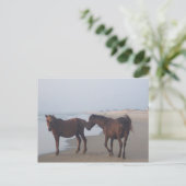 De wilde paarden van het strand van Carova Briefkaart (Staand voorkant)