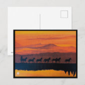 De wilde paarden van Montana schilderij van Alfred Briefkaart (Voorkant / Achterkant)