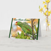 De wilde Papegaai wordt goed Kaart (Gele Bloem)