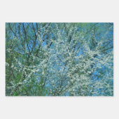 De wilde pruimenboom in bloei inpakpapier vel (Voorkant 3)