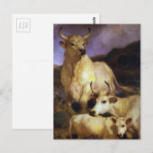 De wilde veestapel Chillingham door Edwin Henry La Briefkaart (Voorkant / Achterkant)