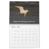De wilde wereld van Ternen en Gulls Kalender (Feb 2026)
