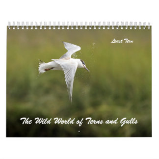 De wilde wereld van Ternen en Gulls Kalender