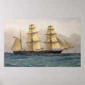 De Wilde Zwan, 1906 Poster (Voorkant)