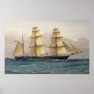 De Wilde Zwan, 1906 Poster