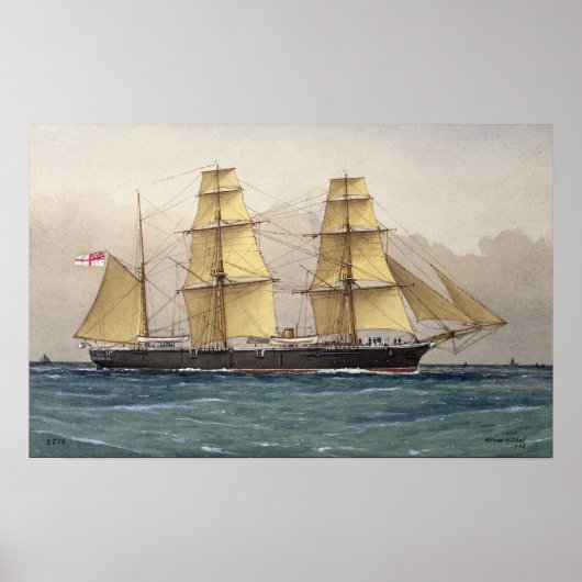 De Wilde Zwan, 1906 Poster (Voorkant)