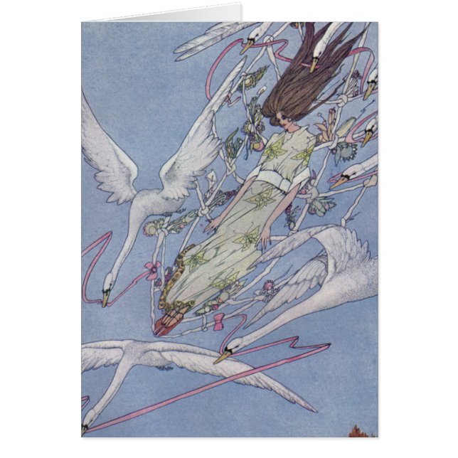 De wilde zwanen (Voorkant)