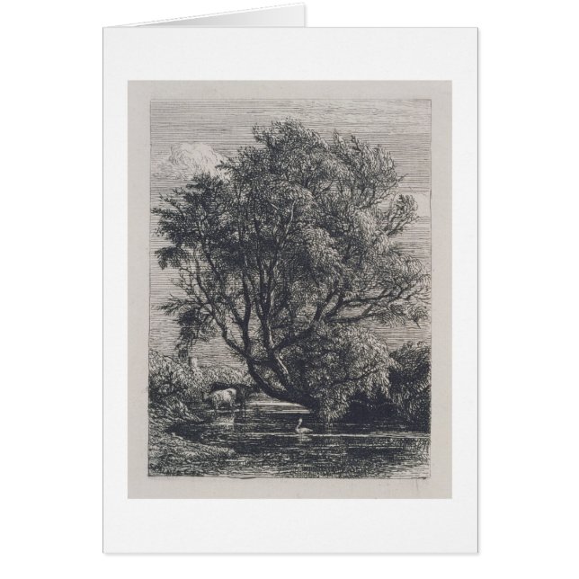 De wilg (etsen) (Voorkant)