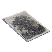 De wilg (etsen) notitieboek (Rechterzijde)