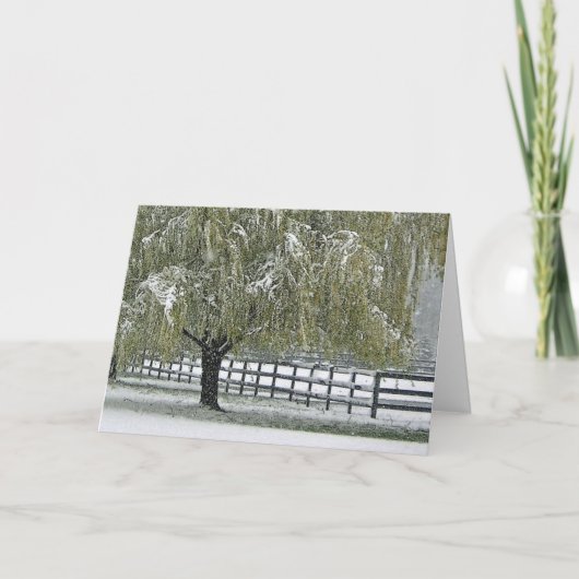 De Wilg van de winter Feestdagen Kaart (Voorkant)
