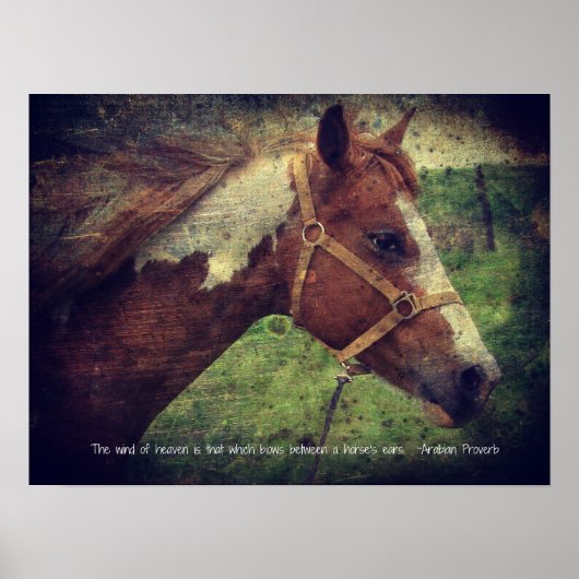 De wind van de hemel, flikkerd poster (Voorkant)