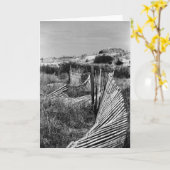 De windende Omheining van het Duin Kaart (Gele Bloem)