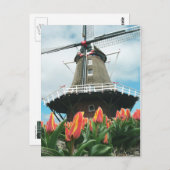 De Windmolen van de Bloemen van de Tijd van de Briefkaart (Voorkant / Achterkant)