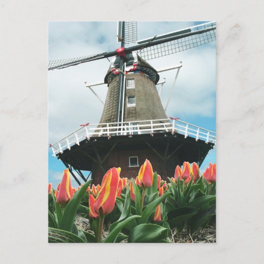 De Windmolen van de Bloemen van de Tijd van de Briefkaart (Voorkant)