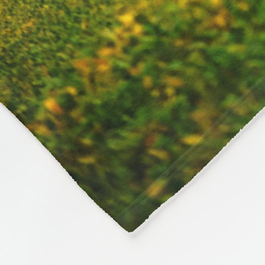 De windmolens van de Westerne ohio Fleece Blanket Deken (Hoek)