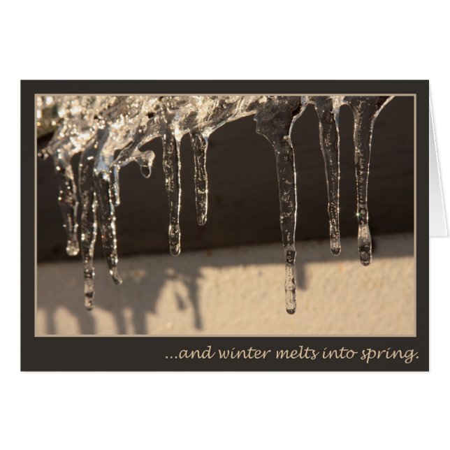 De winter aan de Lente (Voorkant Horizontaal)